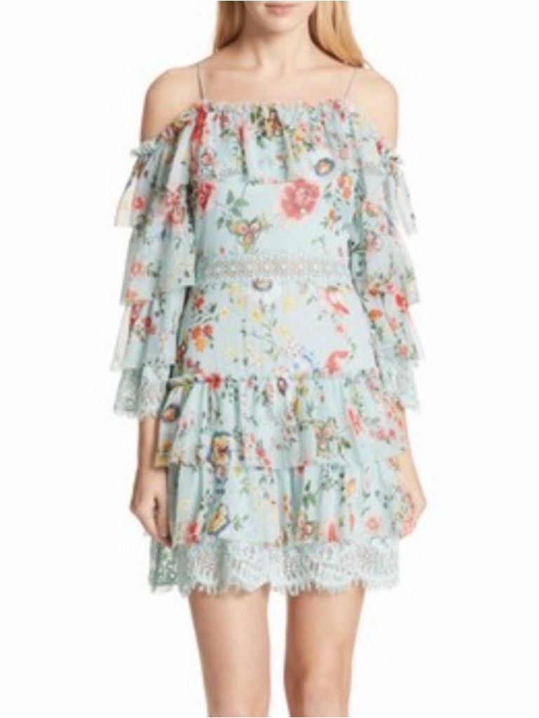 Alice + Olivia Santos Silk Floral Dress Size 4 Nwt Cottagecore Fairycore